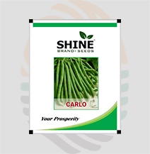 Carlo Pole Bean Seeds