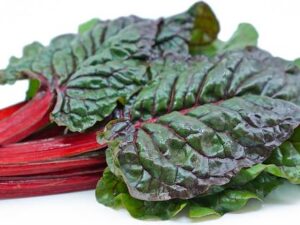 Swis Chard