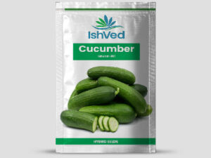 IVCUH - 301 Cucumber Seeds