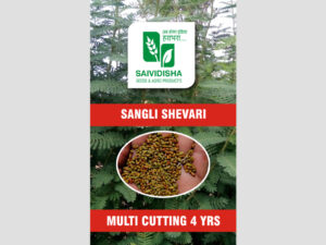 Sangli Shevari seed