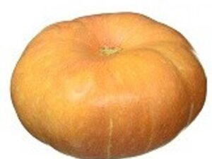 Namdhari's FRESH Pumpkin