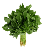 Amaranth Leaves (Amaranthus) - Green