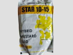 Star 10-15 Hybrid Mustard Seed