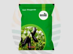 Lucky F1 Hybrid Brinjal Seeds