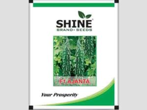 Ajanta F1 Hybrid Bitter Gourd Seeds