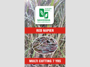 Red Super Napier Stick
