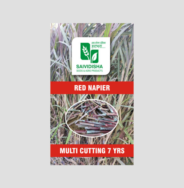 Red Super Napier Stick