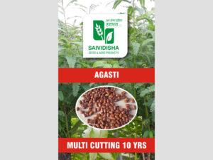 Hadaga seed
