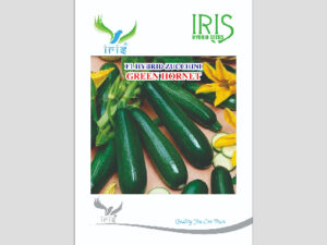 Zucchini F1 Hybrid  Green Hornet Seeds