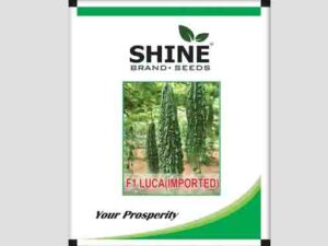 Luca F1 Hybrid Bitter Gourd Seeds