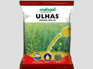 Ulhas