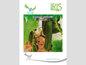 Iris Luxmi F1 Hybrid Cucumber Seeds