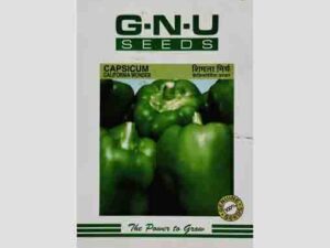 California Wonder Capsicum Seeds