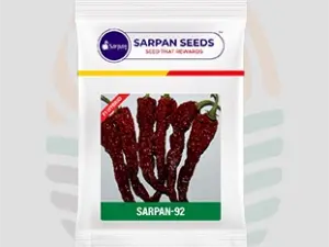 Sarpan F1- 92 Chilli seeds