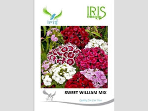 Iris Imported Sweet William Mix Seeds