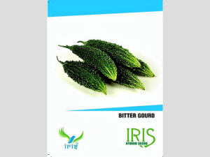Iris F1 Hybrid Bitter Gourd Seeds