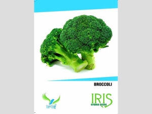 Iris F1 Hybrid Broccoli Seeds