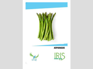 Iris Imported Asparagus Seeds
