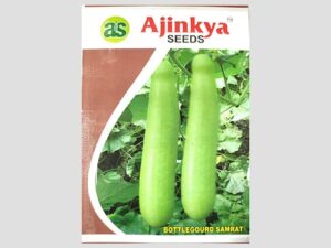 Samrat Bottlegourd Hybrid Seeds