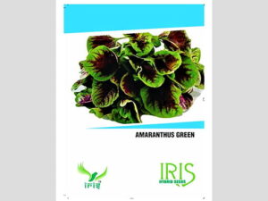 Iris Imported Green Amaranthus Seeds