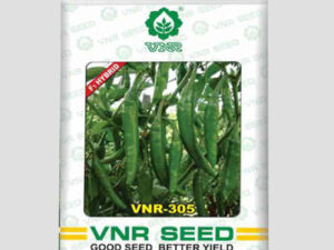 VNR-305 Chilli seeds
