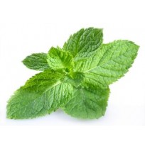 Pudhina (Mint) Leaves