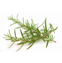 Rosemary Fresh (50gm)