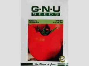 Arka Vikas / S - 22 Tomato Seeds