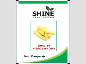 Shine 60 Baby Corn Seeds