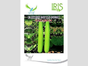 Iris Hybrid Vegetable Seeds F1 Hybrid Bottle Gourd Hazari-04 (Long)