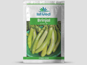 IVBJH - 371 Brinjal Seeds