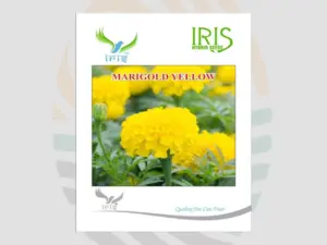 Yellow Marigold  F1 Hybrid Seeds