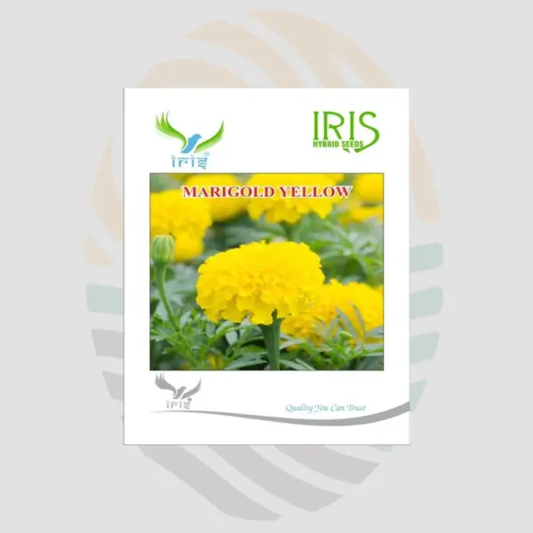 Yellow Marigold  F1 Hybrid Seeds