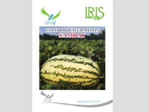 Iris Hybrid Fruit Seeds F1 Hybrid Watermelon Samrat - Ice Box Segment