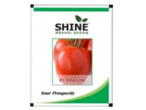 Dragon F1 Hybrid Tomato Seeds