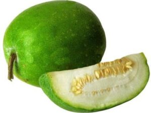 Ash gourd