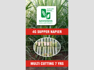 4G Bullet Super Napier stick