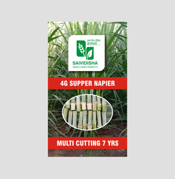 4G Bullet Super Napier stick