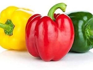 Capsicum Mixed color