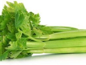 Celery