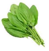 Chukka Kura (Spinach Dock)