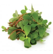 Purslane (Gonni Soppu/ Kulfa)