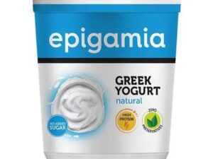 Epigamia Natural Yoghurt 400G Cup