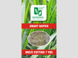 Bahubali Smart Napier Sticks