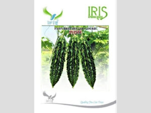 Iris F1 Hybrid Bitter Gourd Jyoti Seeds