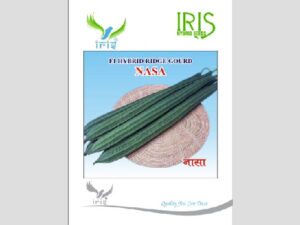 Iris Hybrid Vegetable Seeds F1 Hybrid Ridge Gourd  Nasa