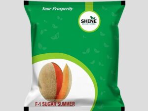 Sugar Summer Muskmelon Seeds