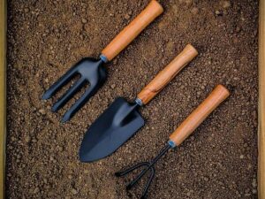 GOLD DUST gardening tools, garden tools, gardening tool...