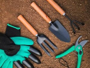 GOLD DUST Gardening Tools Kit , Gardening Tools Combo G...