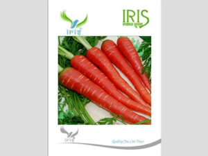 Iris Imported Carrot Seeds